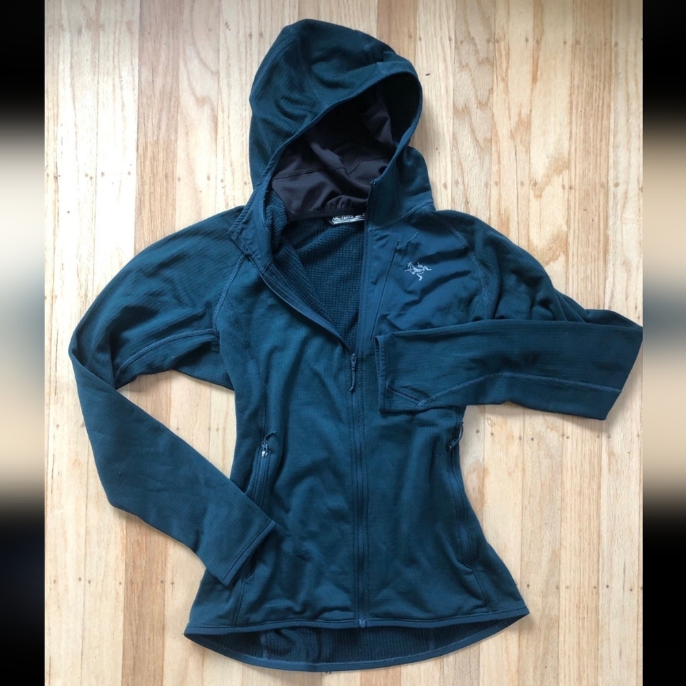 Arc'teryx Delta MX Hoody in Labrynth color